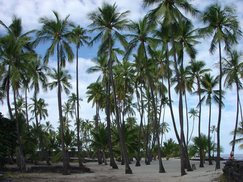 Pu'uhonoa o Honaunau NHP