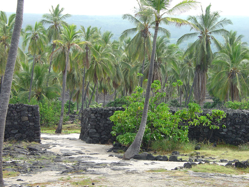 Pu'uhonoa o Honaunau NHP