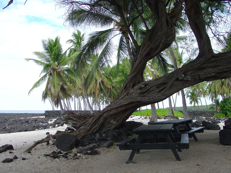 Pu'uhonoa o Honaunau NHP