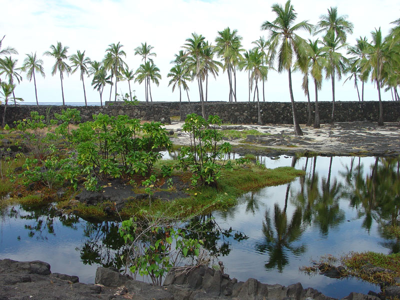 Pu'uhonoa o Honaunau NHP