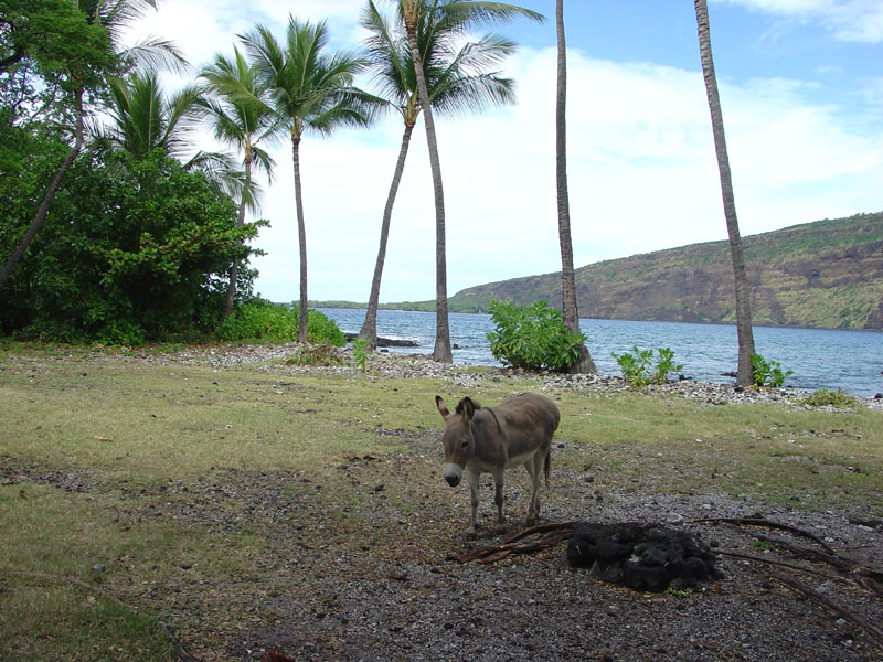 Pu'uhonoa o Honaunau NHP