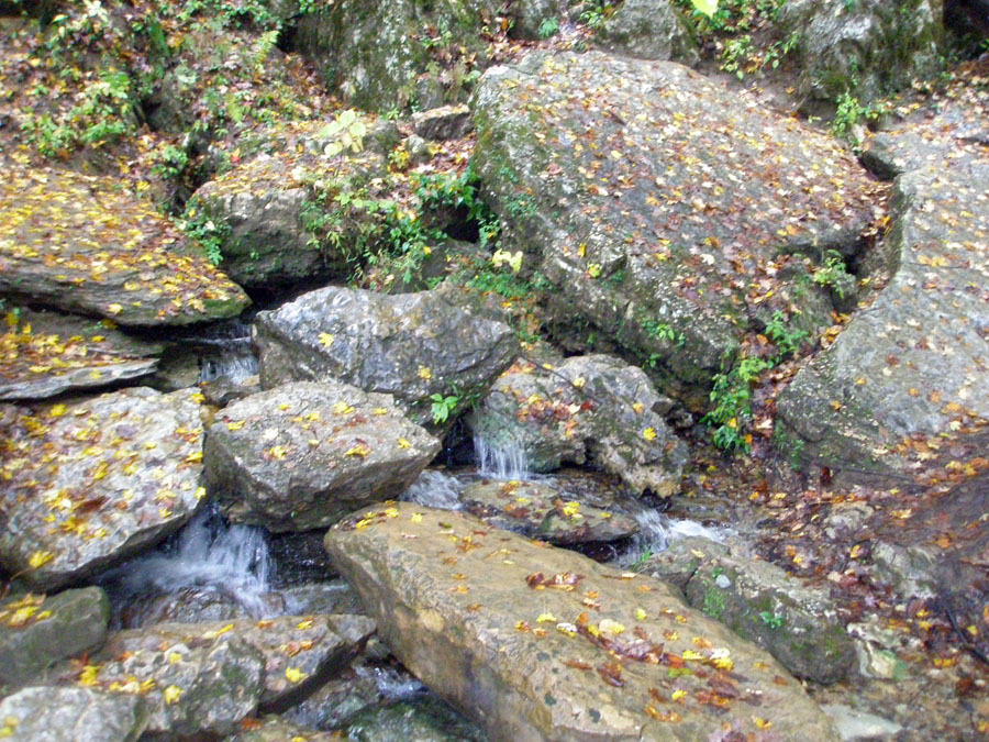 Red River Gorge