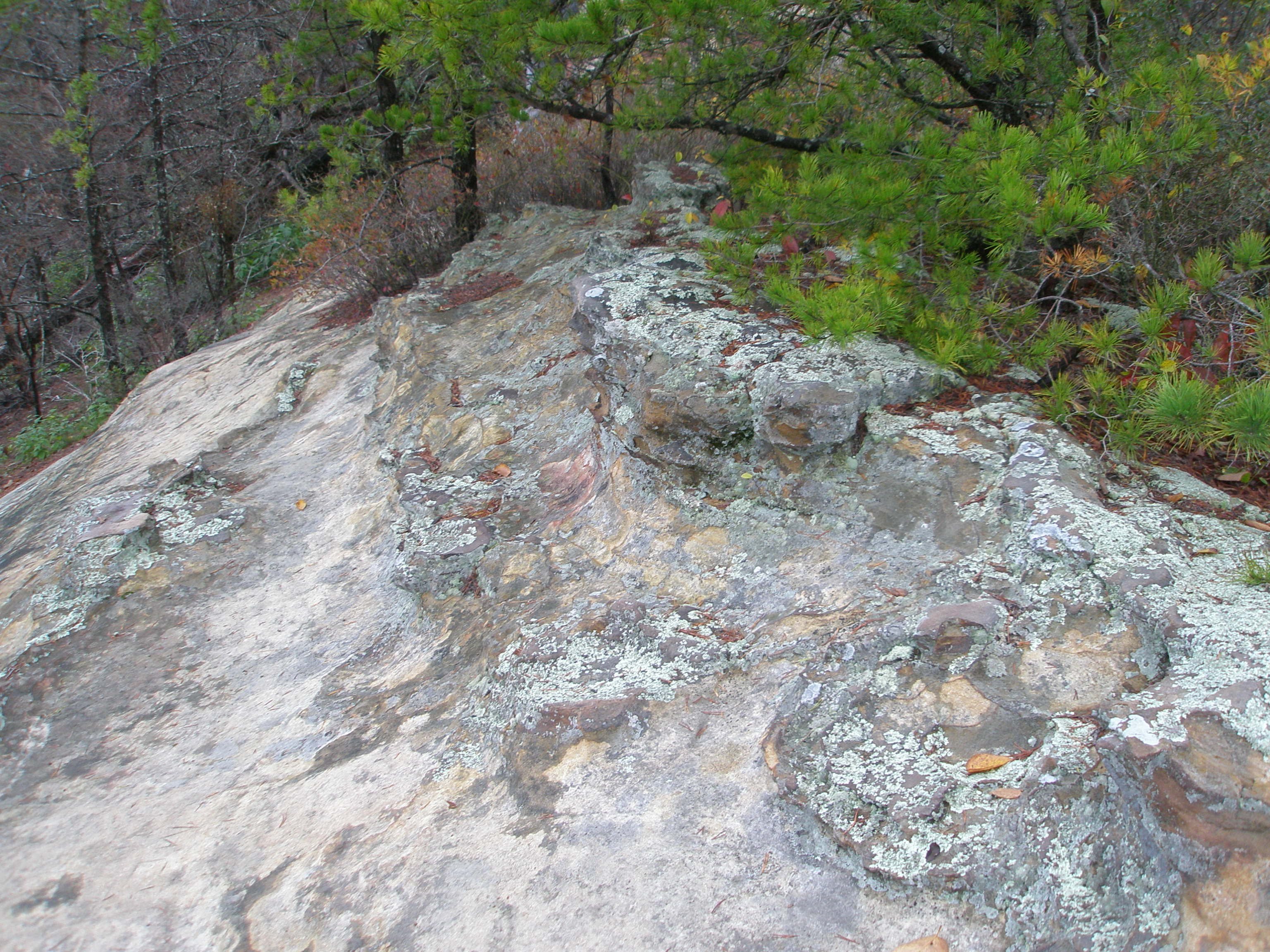 Red River Gorge