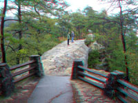 Sky Bridge Trail 