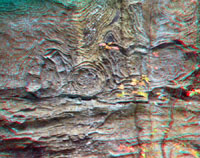 Banded weathering in sandstone 
