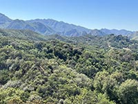 Chaparral, coastal sage, and oak scrubland habitats, examples in the Santa Monica Mountains..