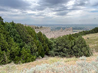 View of a local, dense cedar forest on top of Scotts Bluff along the South Point Overlook Trail.