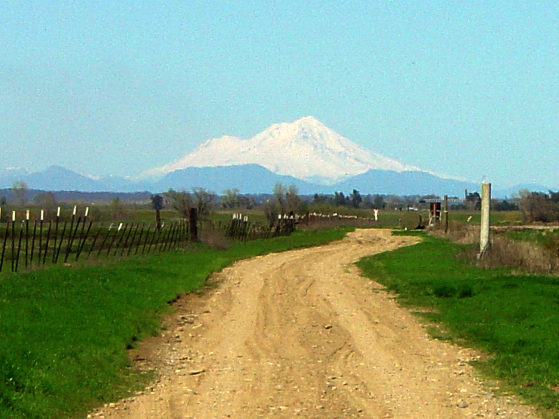 Mount Shasta from the south