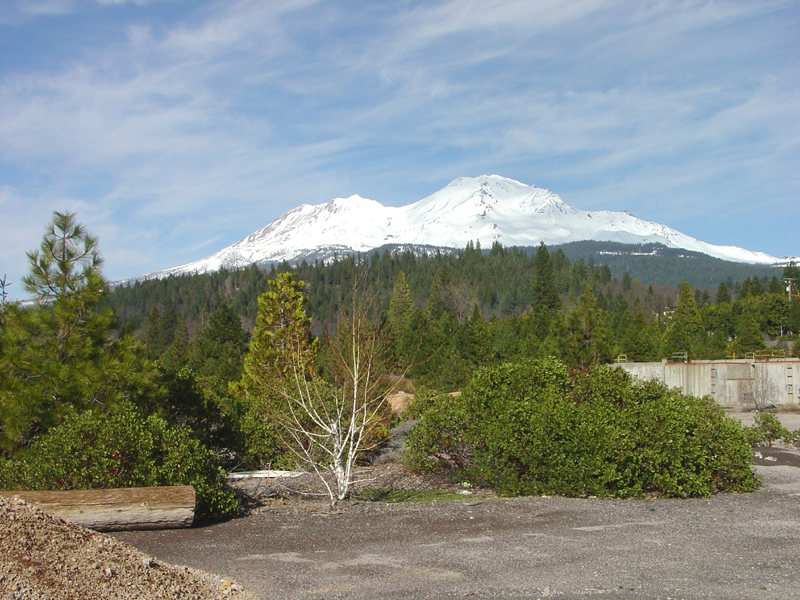 Mount Shasta and Shastina