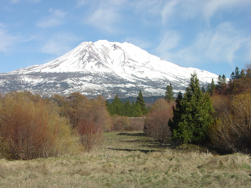 Shastina and Mount Shasta