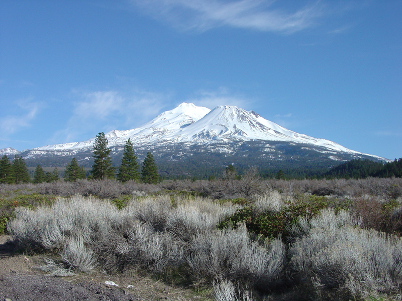 Mount Shasta and Shastina