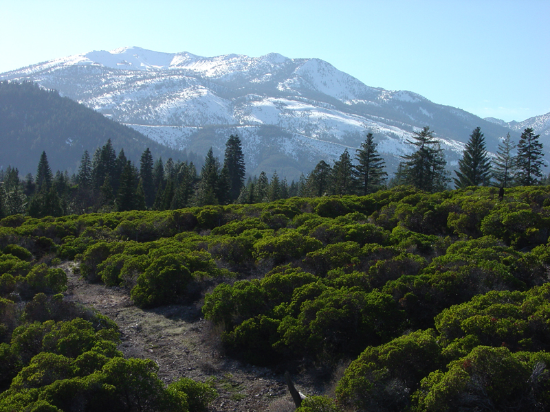 Trinity Mountains