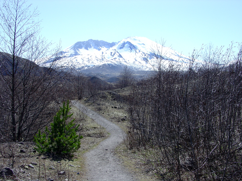 Trail with Mount St. Helens