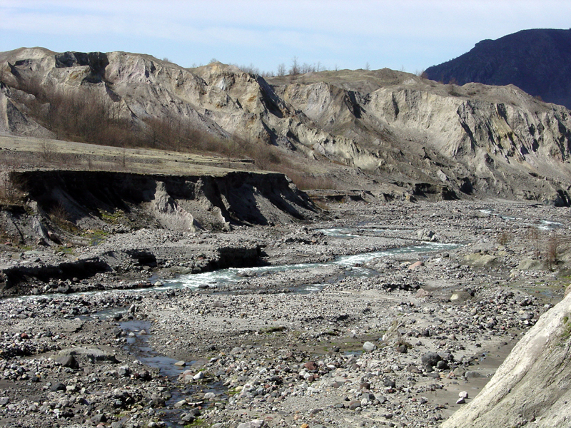 Toutle River floodplain