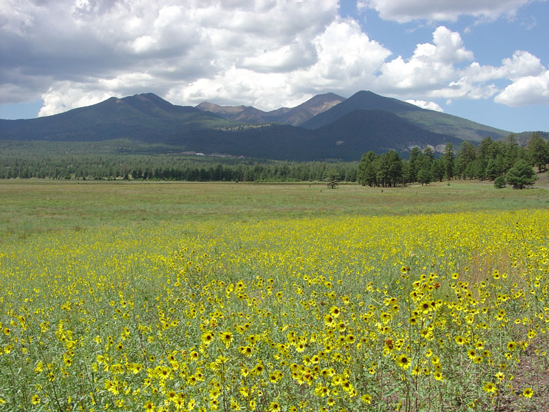 Sunset Crater National Monument