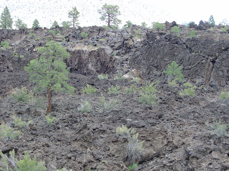 Sunset Crater National Monument