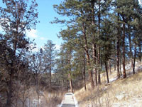 Wind Cave National Park