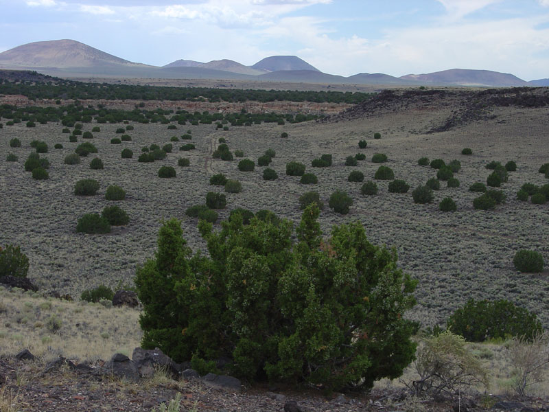 Wupatki National Monument