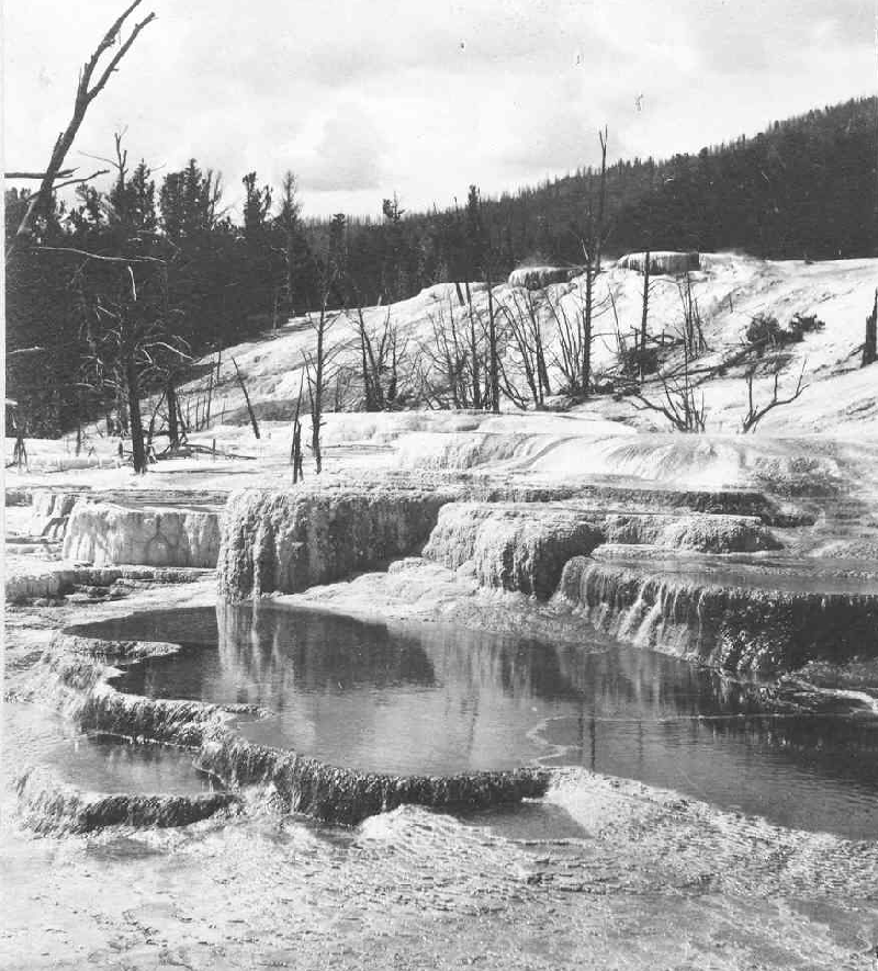 Yellowstone National Park