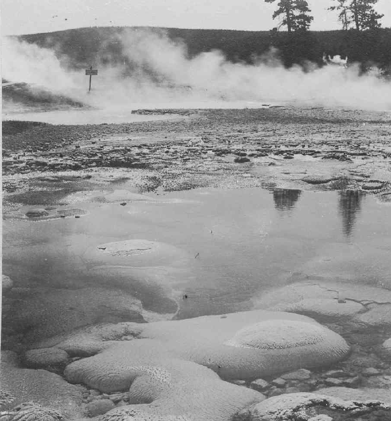 Yellowstone National Park