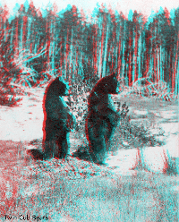 Twin Cub Bears