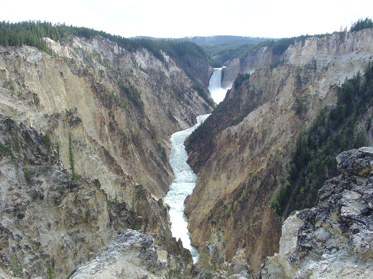 Artists Point Overlook of the Grand Canyon of the Yellowstone with Lower Falls. 