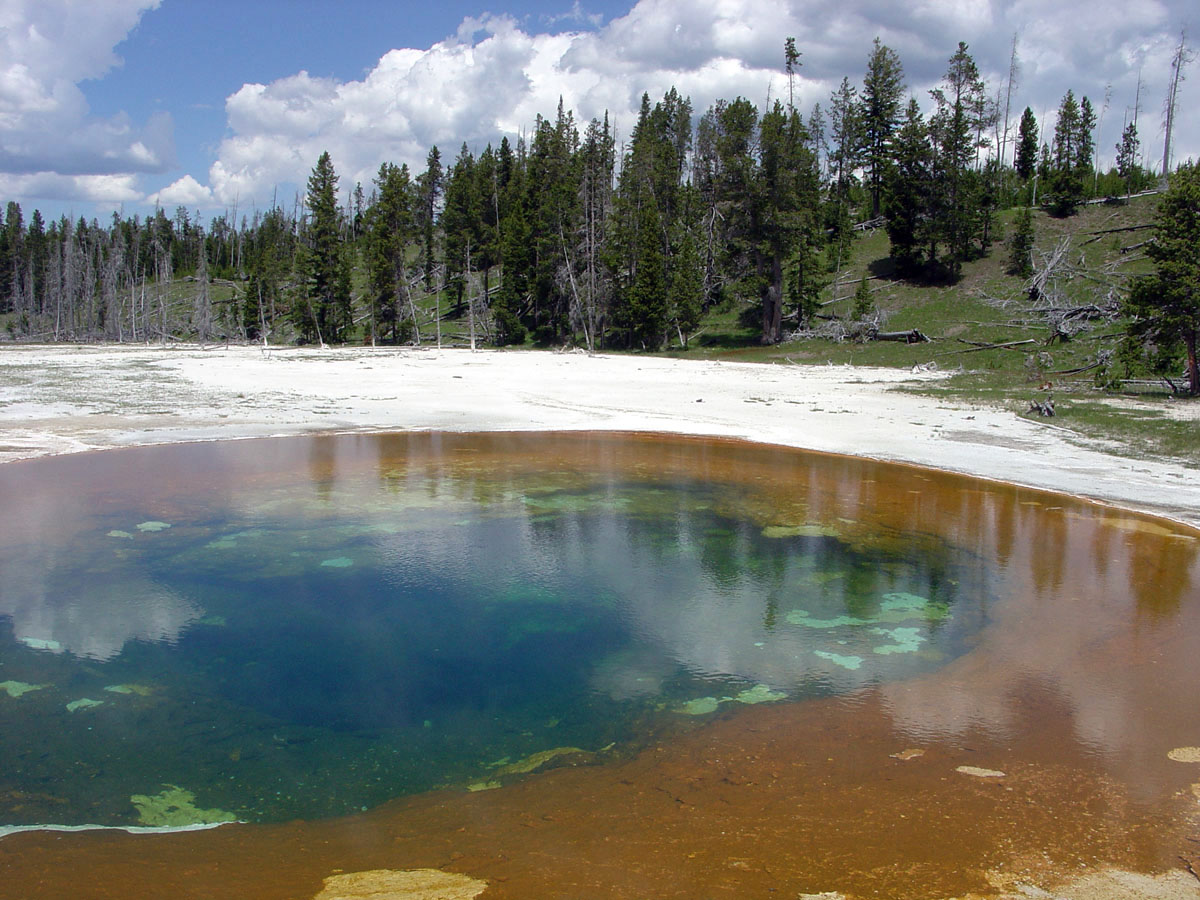 Beauty Pool