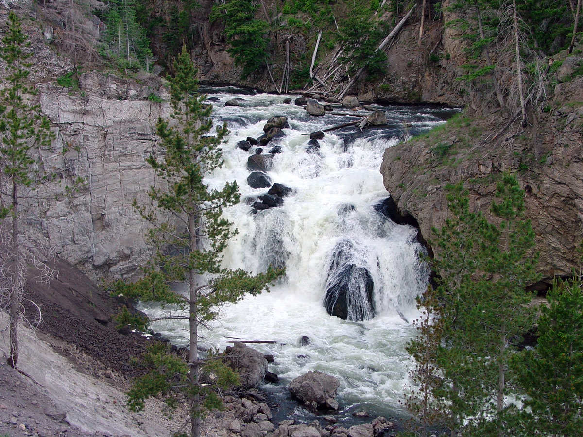 Lewis Falls on the Lewis River