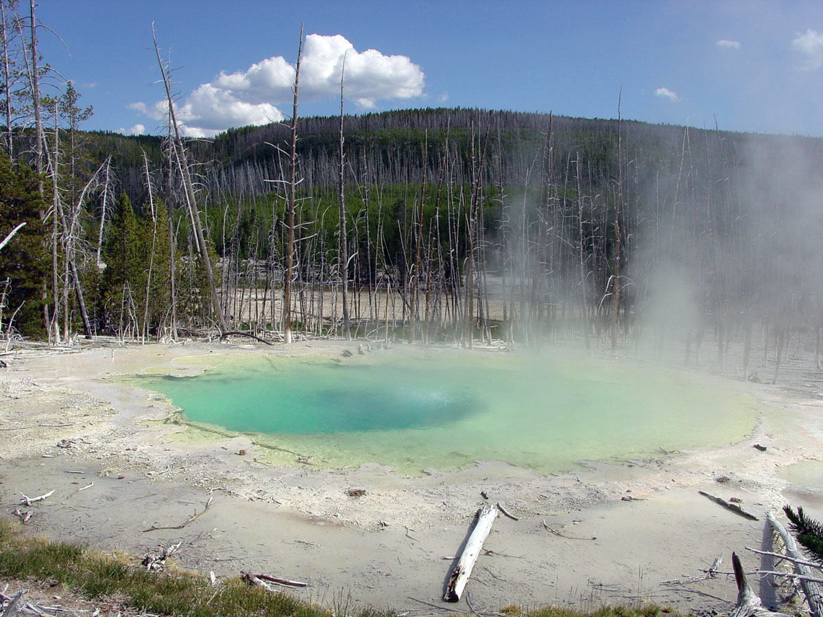 Norris Geyser Basin