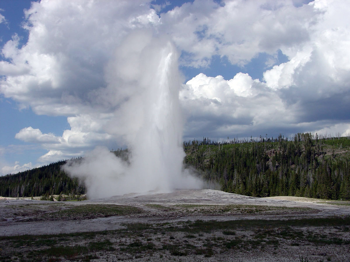 Old Faithful Geyser from near Old Faithful Lodge. 