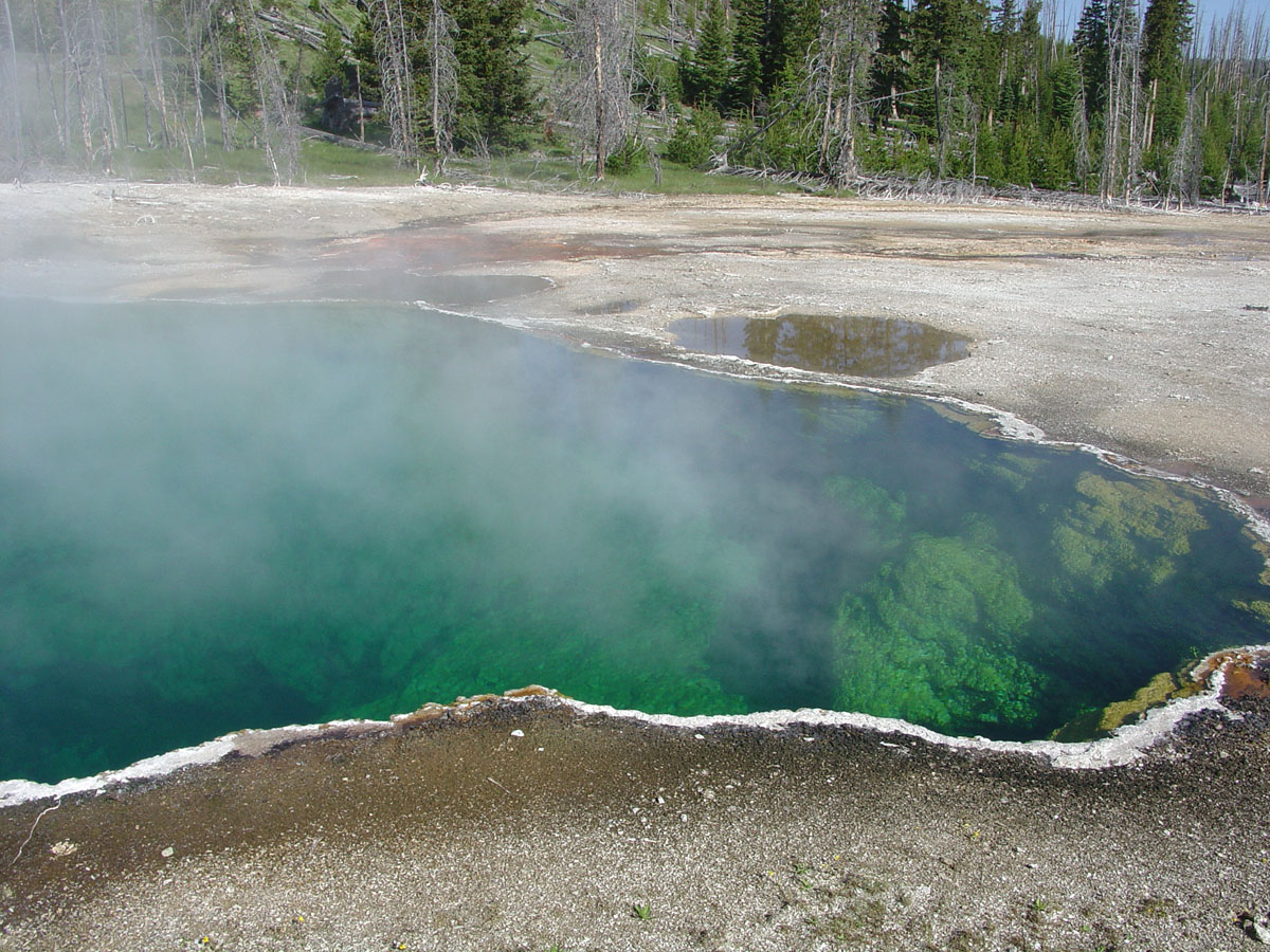 Abyss Pool