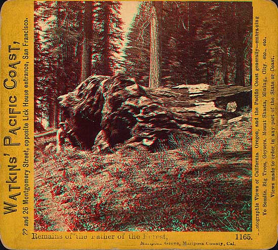 Yosemite National Park