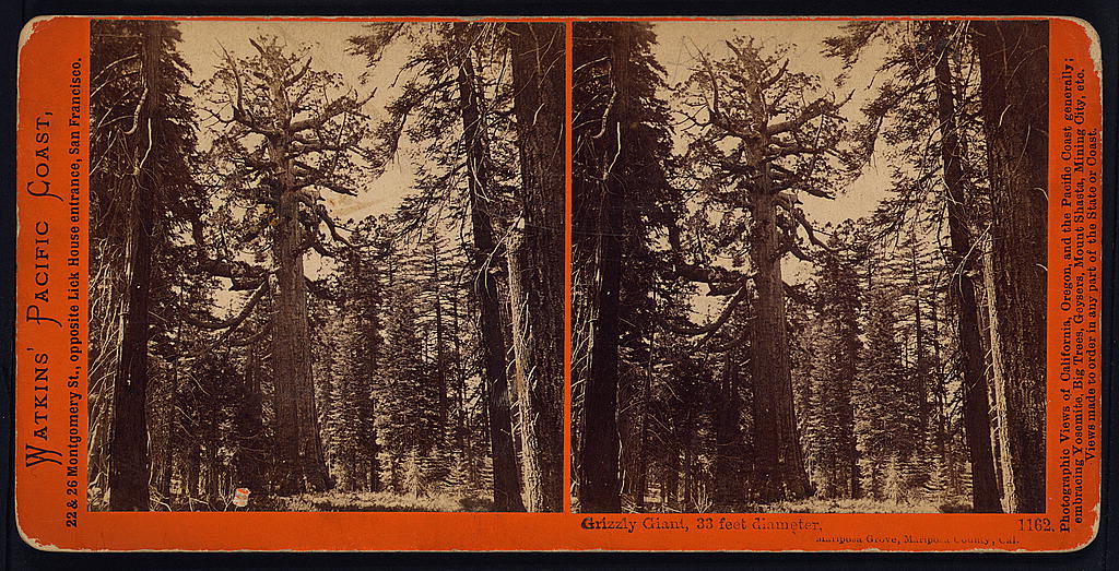 Yosemite National Park