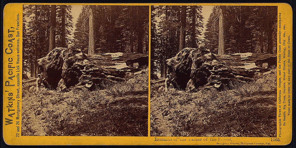 Yosemite National Park