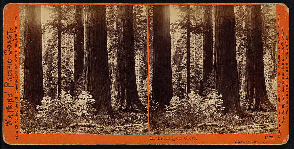 Yosemite National Park