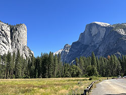 Meadow along the Merced River in Yosemite Valley.