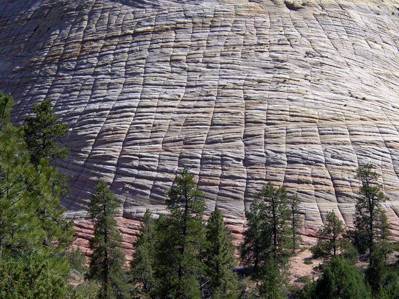 Zion National Park