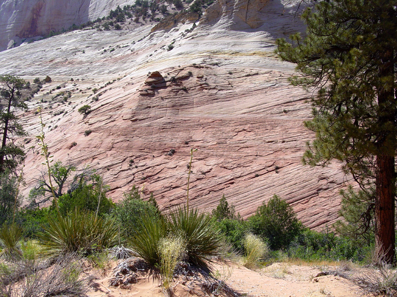 Zion National Park