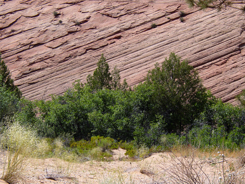 Zion National Park