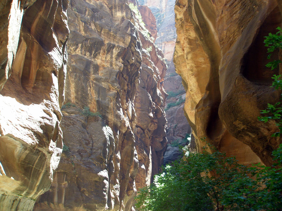 Zion National Park