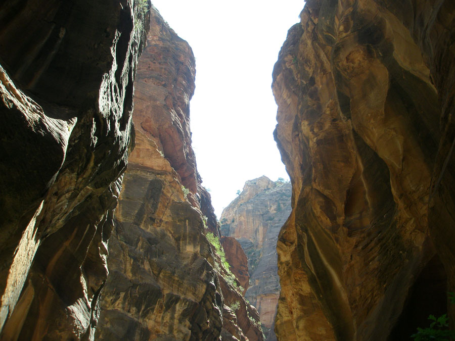 Zion National Park