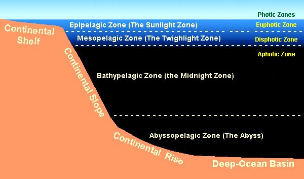 gotbooks.miracosta.edu/oceans pelagic zone diagram 