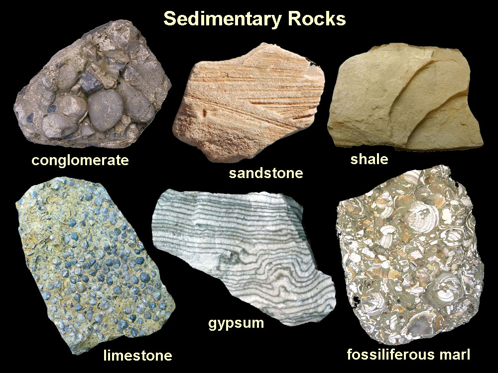 Sedimentary Rock Texture