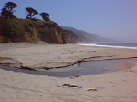Quartz sand beach
