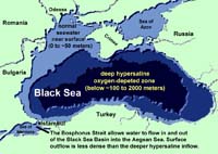 Anoxic deep waters of the Black Sea