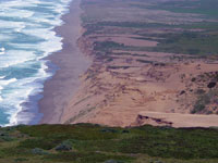 Coastal Dunes at Point Reyes Peninsula