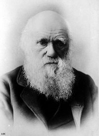 Charles Darwin (Smithsonian Institution drawing)