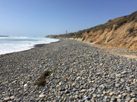 Gravel deposit on South Carlsbad State Beach, California