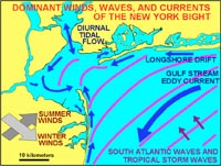 New York City waves, winds, currents, and longshore and tidal currentss