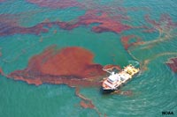 oil slick from the Deepwater Horizon disaster